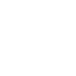 icone fleur blanche